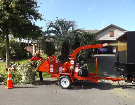 Branch Chipping & Tree Services in Palmerston North