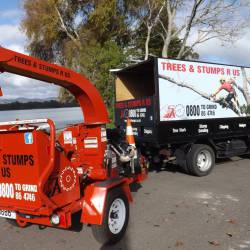 Tree Pruning Services In Palmerston North