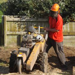 Hedge Pruning Services In Palmerston North