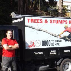 Tree Removal Services In Palmerston North
