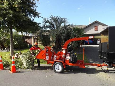 Branch Chipping & Tree Services in Palmerston North, NZ