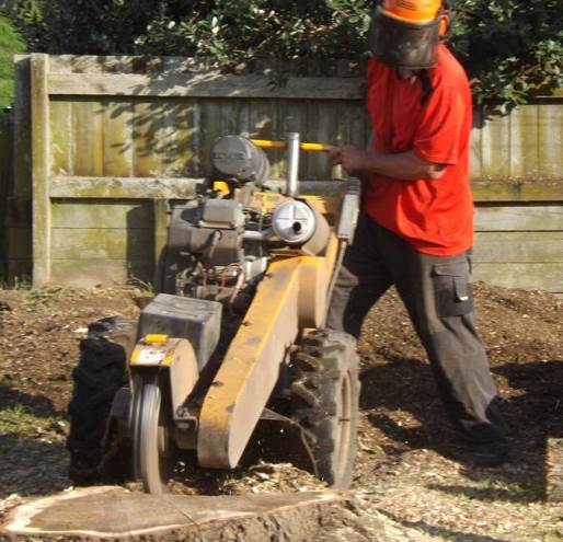 Tree Services & Stump Grinding Business in Palmerston North